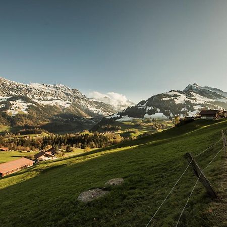 Chalet Bergwelt Frutigen Dış mekan fotoğraf