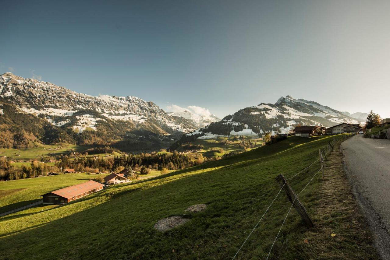 Chalet Bergwelt Frutigen Dış mekan fotoğraf