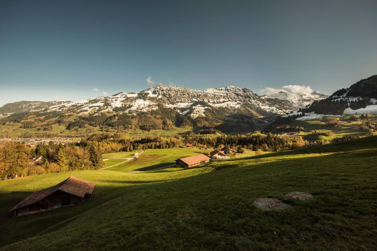 Chalet Bergwelt Frutigen Dış mekan fotoğraf